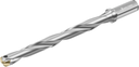 D4140-10-20.00F20-E - Wechselplatten-Bohrer - /images/D4140-10-1800F20-D_WTZ_P_MV.png