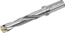 D4140-05-13.00F16-A - Wechselplatten-Bohrer - /images/D4140-05-1800F20-D_WTZ_P_MV.png