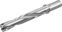 D4140-05-26.00F25-H - Wechselplatten-Bohrer - /images/D4140-05-2500F25-G_P_MV_AD.png