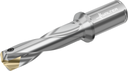 D4140.03-36.00F38-P - Wechselplatten-Bohrer - /images/D4140-03-3200F40-M_WTZ_P_MV.png