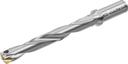 D4140-07-15.00A16-B - Wechselplatten-Bohrer - /images/D4140-07-1800A20-D_WTZ_P_MV.png