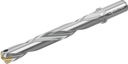 D4140-07-27.00A25-H - Wechselplatten-Bohrer - /images/D4140-07-2500A25-G_WTZ_P_MV.png