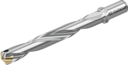 D4140-07-29.00A32-J - Wechselplatten-Bohrer - /images/D4140-07-3100A32-K_WTZ_P_MV.png