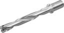 D4140-07-36.00F40-P - Wechselplatten-Bohrer - /images/D4140-07-3200F40-M_P_MV_AD.png