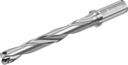 D4140-07-18.00F20-D - Wechselplatten-Bohrer - /images/D4140-07-1800F20-D_P_MV_AD.png