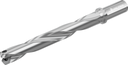 D4140-07-26.00F25-H - Wechselplatten-Bohrer - /images/D4140-07-2500F25-G_P_MV_AD.png
