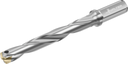 D4140-07-15.00F16-B - Wechselplatten-Bohrer - /images/D4140-07-1800F20-D_WTZ_P_MV.png
