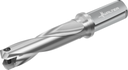 D4140-03-22.00F25-F - Wechselplatten-Bohrer - /images/D4140-03-2500F25-G_P_MV_AD.png