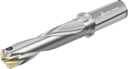D4140-03-22.00F25-F - Wechselplatten-Bohrer - /images/D4140-03-2500F25-G_WTZ_P_MV.png