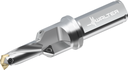 D4240-02-12.00F20-A - Wechselplatten-Bohrer - /images/D4240-02-1400F20-B_TTGPVD_P_MV.png