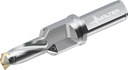 D4240-02-17.00F20-C - Wechselplatten-Bohrer - /images/D4240-02-1700F20-C_TTGPVD_P_MV.png