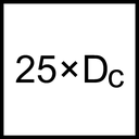 DC160-25-08.300A1-WJ30EU - PropertyIcon1 - /images/D_25xDc_Icon.png