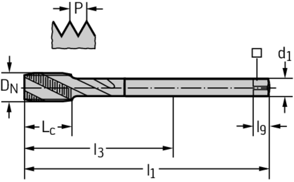 2056315-M20 - HSS-E Maschinen-Gewindebohrer - /images/P_TR_PDUR-2056315-ZUE_D_01.png