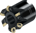 M5468.051-B19-06-05 - Rundplattenfräser - /images/W_MI_M5468-050-B22-06-05_TTG-PVD_P_02_1.png