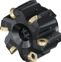 F2010.UB.076.Z06.08R770M - Kopierfräser mit Rundplatten - /images/F2010-B-080-Z06-06-R771M_TTGPVD_P_MV.png