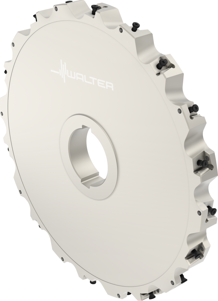F4253.B60.315.Z10.25 - Scheibenfräser zum Nutfräsen - /images/W_MI_F4253-B60-315-Z10-25_P_02_0.png