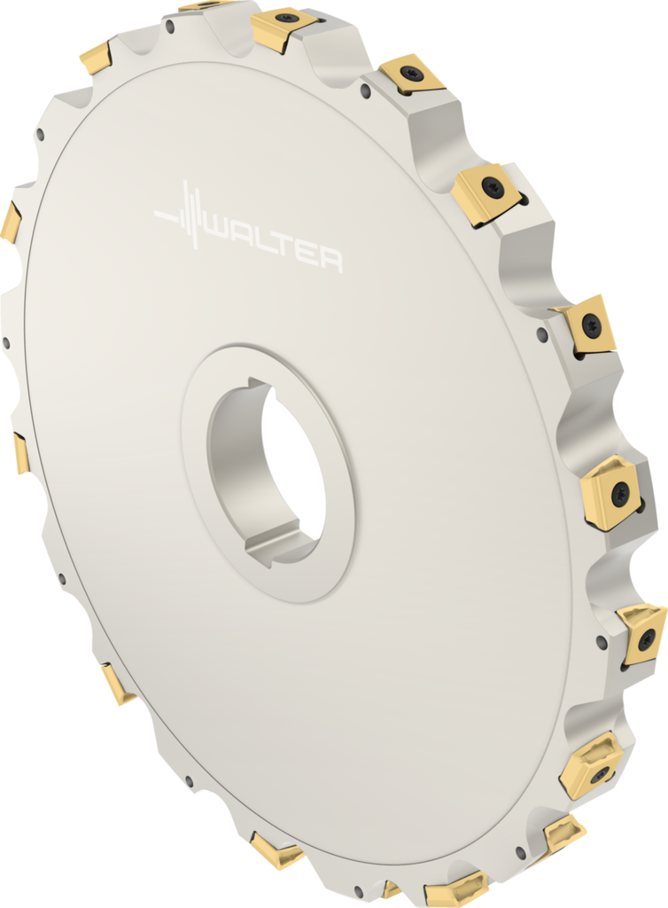 F4253.B60.315.Z10.25 - Scheibenfräser zum Nutfräsen - /images/W_MI_F4253-B60-315-Z10-25_TTG_P_02_1.png