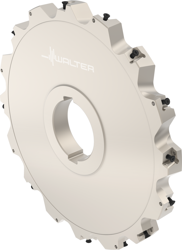 F4253.B60.250.Z08.20 - Scheibenfräser zum Nutfräsen - /images/W_MI_F4253-B60-250-Z08-20_P_02_0.png