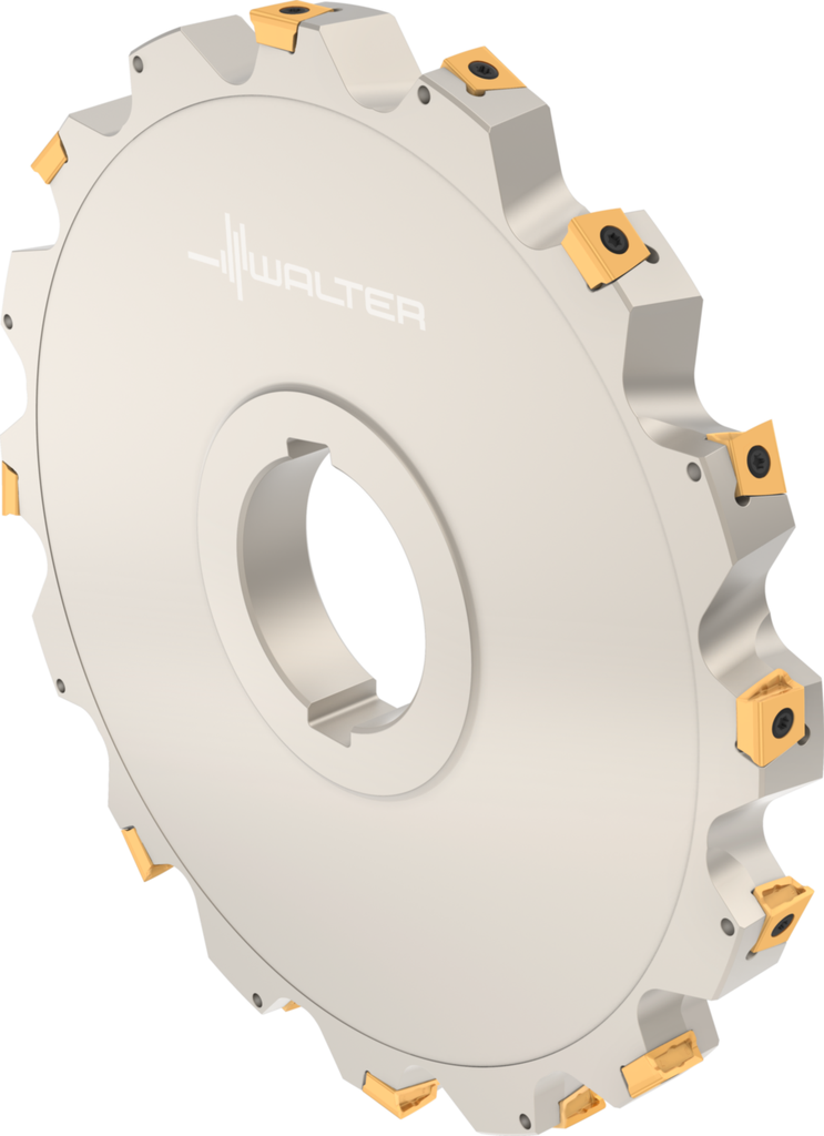 F4253.B60.250.Z08.20 - Scheibenfräser zum Nutfräsen - /images/W_MI_F4253-B60-250-Z08-20_TTG_P_02_1.png