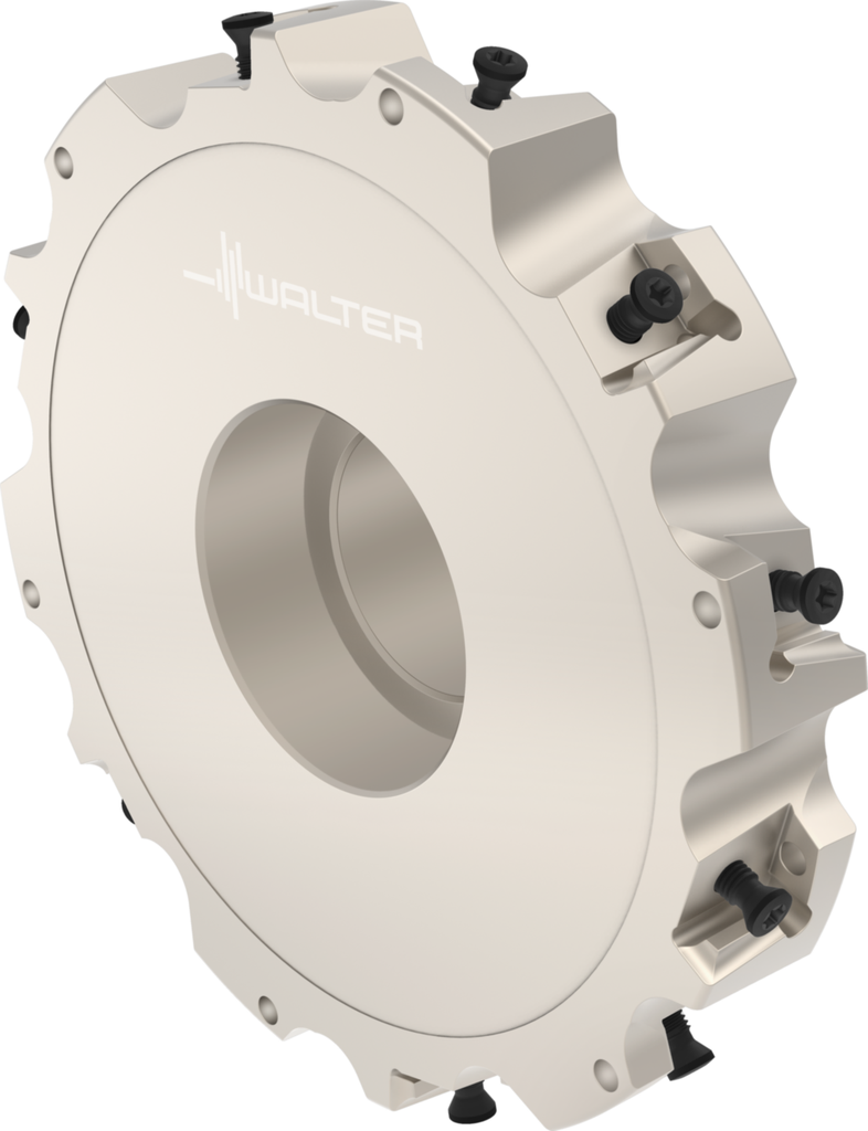 F4253.BN40.160.Z06.25R - Scheibenfräser zum Nutfräsen - /images/W_MI_F4253-BN40-160-Z06-25R_P_02_0.png