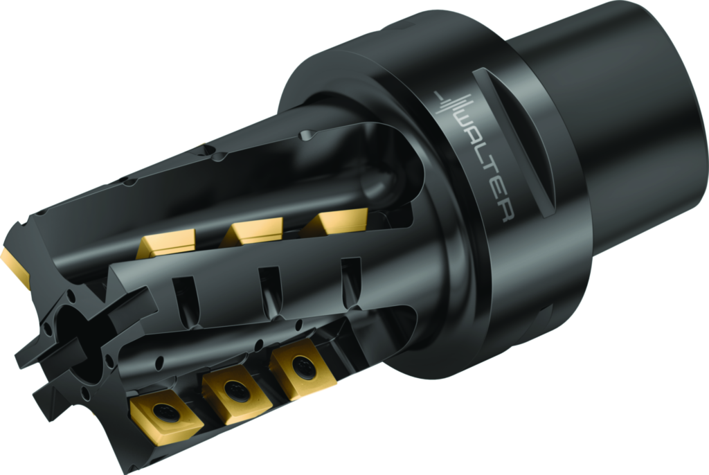 M4258-080-C8-03-80-B - Igel-Fräser Grundkörper - /images/W_MI_M4258-MOD-CAPTO-BODY-TTG_P_01.png