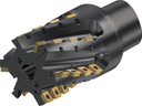 M4258-080-C8-03-80-B - Igel-Fräser Grundkörper - /images/W_MI_M4258-080-C8-03-80-B_TTG_P_02_1.png