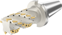 F4238.US5.064.Z04.99 - Igel-Fräser - /images/W_MI_F4238-US5-064-Z04-99_TTG_P_02_1.png