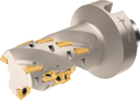 F4238.N8.080.Z05.99 - Igel-Fräser - /images/F4238-N-AD1606_TTG_P_01.png