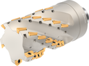 F4238.N8.080.Z05.99 - Igel-Fräser - /images/W_MI_F4238-N8-080-Z05-99_TTG_P_02_1.png