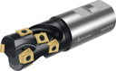 F5138.UW38.038.Z02.45 - Igel-Fräser - /images/W_MI_F5138-W40-040-Z02-45_TTG_P_02_1.png