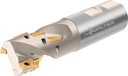 F4138.UW31.031.Z02.43 - Igel-Fräser - /images/F4138-W_TTG_P_01.png