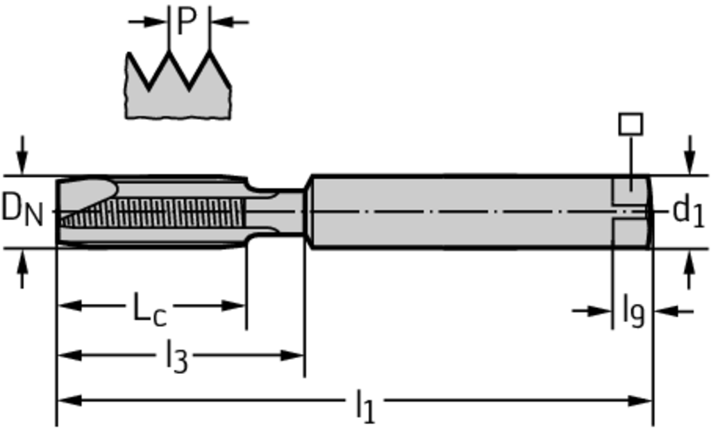 202161-M2 - HSS-E-PM Maschinen-Gewindebohrer - /images/P_TR_PTEX-20207-ZV_D_01.png