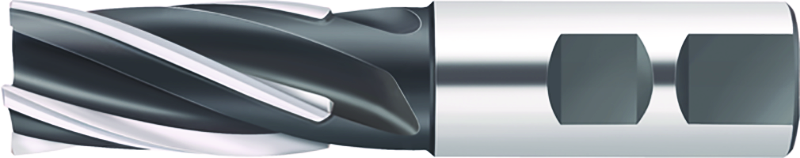 F1678.W.032.Z04.50.P - Gelötete Heli-Eckfräser - /images/W_MR_F1678-W_P_01.png