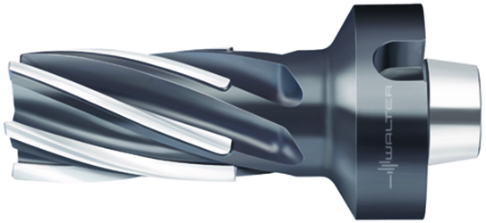 F1682.N8.063.Z06.100.P - Gelötete Heli-Eckfräser - /images/W_MI_F1682-NCT_P_01.png