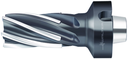F1682.N8.063.Z06.100.P - Gelötete Heli-Eckfräser - /images/W_MI_F1682-NCT_P_01.png