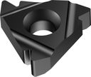 NTS-IR-11 A55 WMP32 - Innengewindedrehplatten – Teilprofil 55° - /images/NTS_IR_ANTHIP_P_MV_AD.png
