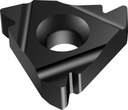 NTS-IL-11 A60 WMP32 - Innengewindedrehplatten – Teilprofil 60° - /images/NTS_IL_ANTHIP_P_MV_AD.png