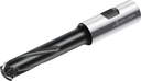 T2713-19-W20-3-06 - Wendeschneidplatten-Gewindefräser - /images/W_TR_T2713-19-W20-3-06_SILVER_P_02_1.png