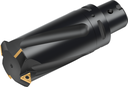 T2713-94-C8-5-22 - Wendeschneidplatten-Gewindefräser - /images/T2713-M-C-1_TTG_P_01.png