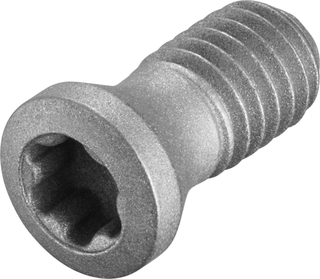 FS2573 - Schrauben mit Kopf - /images/FS2573_P_MV_AD.png