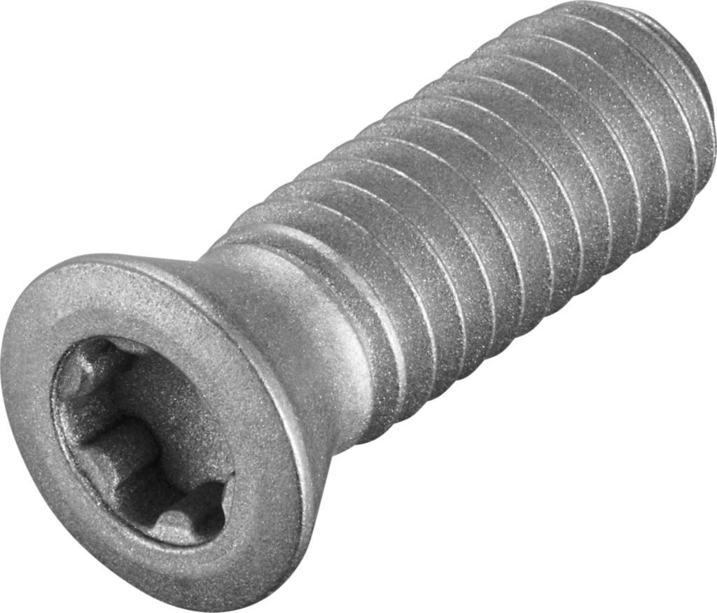 FS2081 - Schrauben mit Kopf - /images/FS2081_P_MV_AD.png