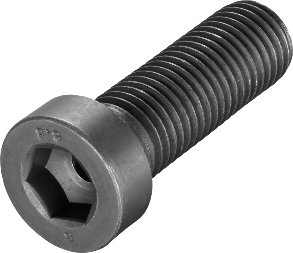 FS832 - Schrauben mit Kopf - /images/FS832_P_MV_AD.png