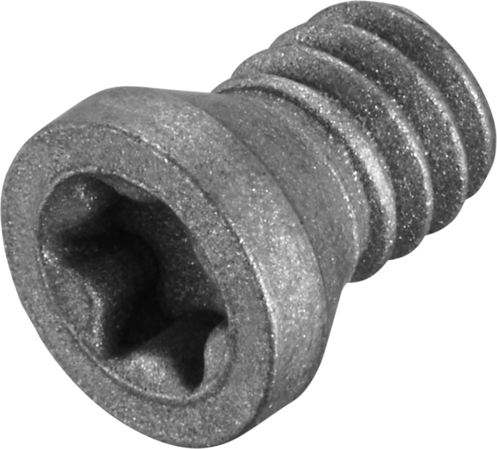 FS1003 - Schrauben mit Kopf - /images/FS1003_P_MV_AD.png