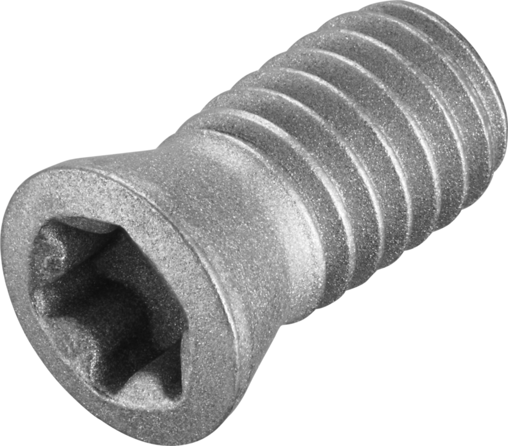 FS319 - Schrauben mit Kopf - /images/FS319_P_MV_AD.png