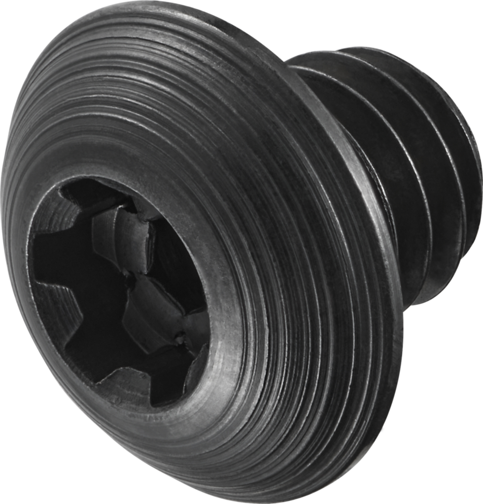FS1158 - Schrauben mit Kopf - /images/FS1158_P_MV_AD.png