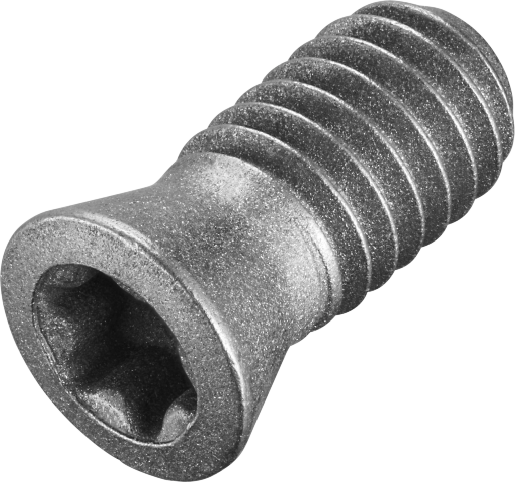 FS244 - Schrauben mit Kopf - /images/FS244_P_MV_AD.png