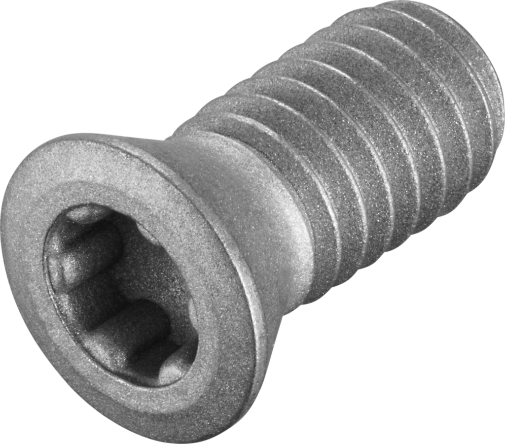 FS2080 - Schrauben mit Kopf - /images/FS2080_P_MV_AD.png