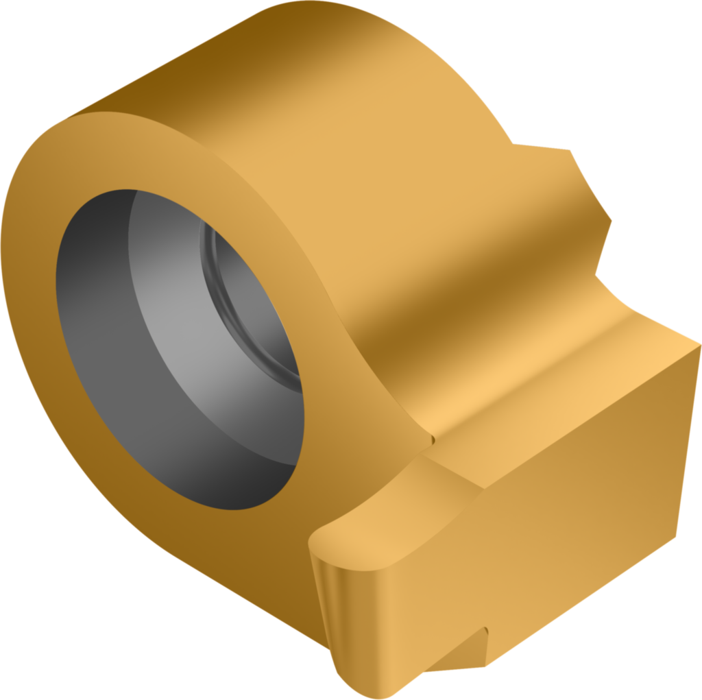 WE09-AR12-200R10 WSM23X - Wechselkopf – Axial Stechen Vollradius - /images/WE-AR-R_GOLD_P_01.png