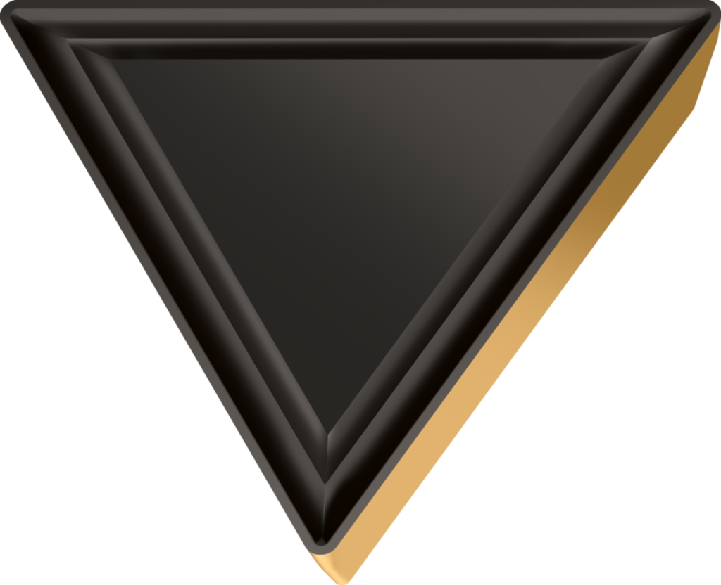 TPMR110308 WKK20S - Wendeschneidplatte Drehen – Positive triangular 60° - /images/TPMR_TTG2_P_01.png