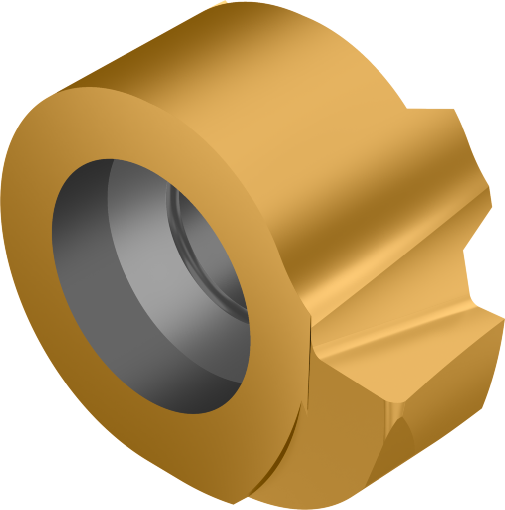 WE07-T10-098R02 WSM23X - Wechselkopf – Drehen - /images/WE-T-98-R_GOLD_P_01.png